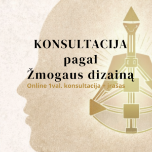 Konsultacija pagal Žmogaus dizaino sistemą. Online 1val. + įrašas