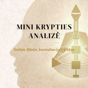 MINI krypties analizė. Online 20min. konsultacija + įrašas