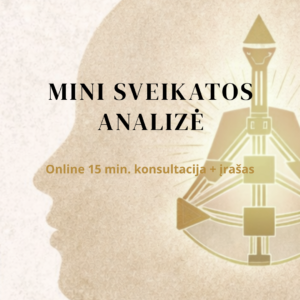 MINI sveikatos analizė. Online 15min. konsultacija + įrašas